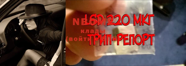 СК Абаза