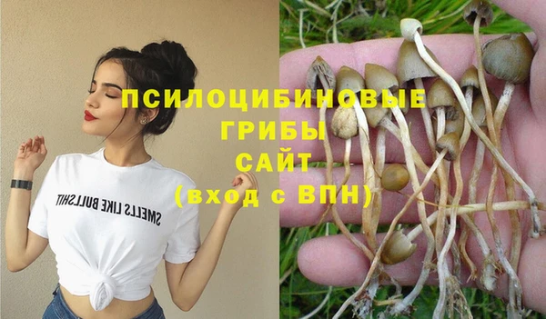 спайс Абинск