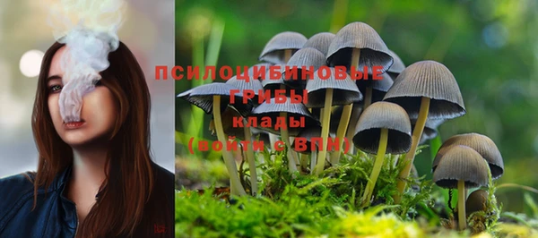 спайс Абинск